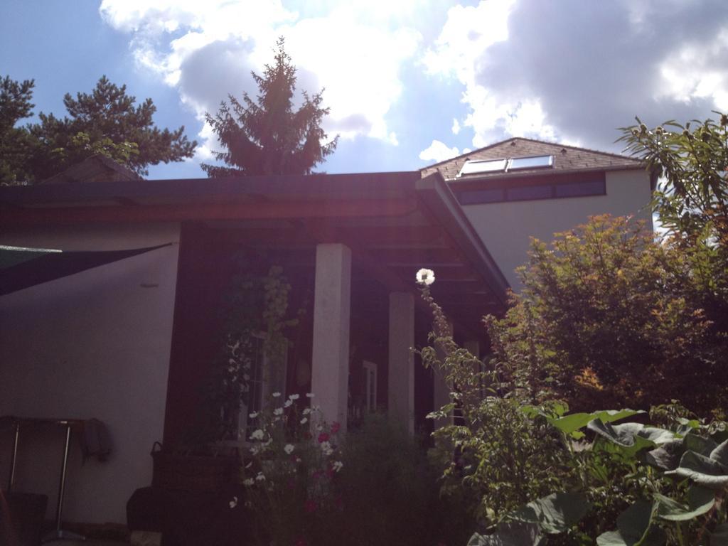 Ferienwohnung Box58 Eisenstadt Exterior foto